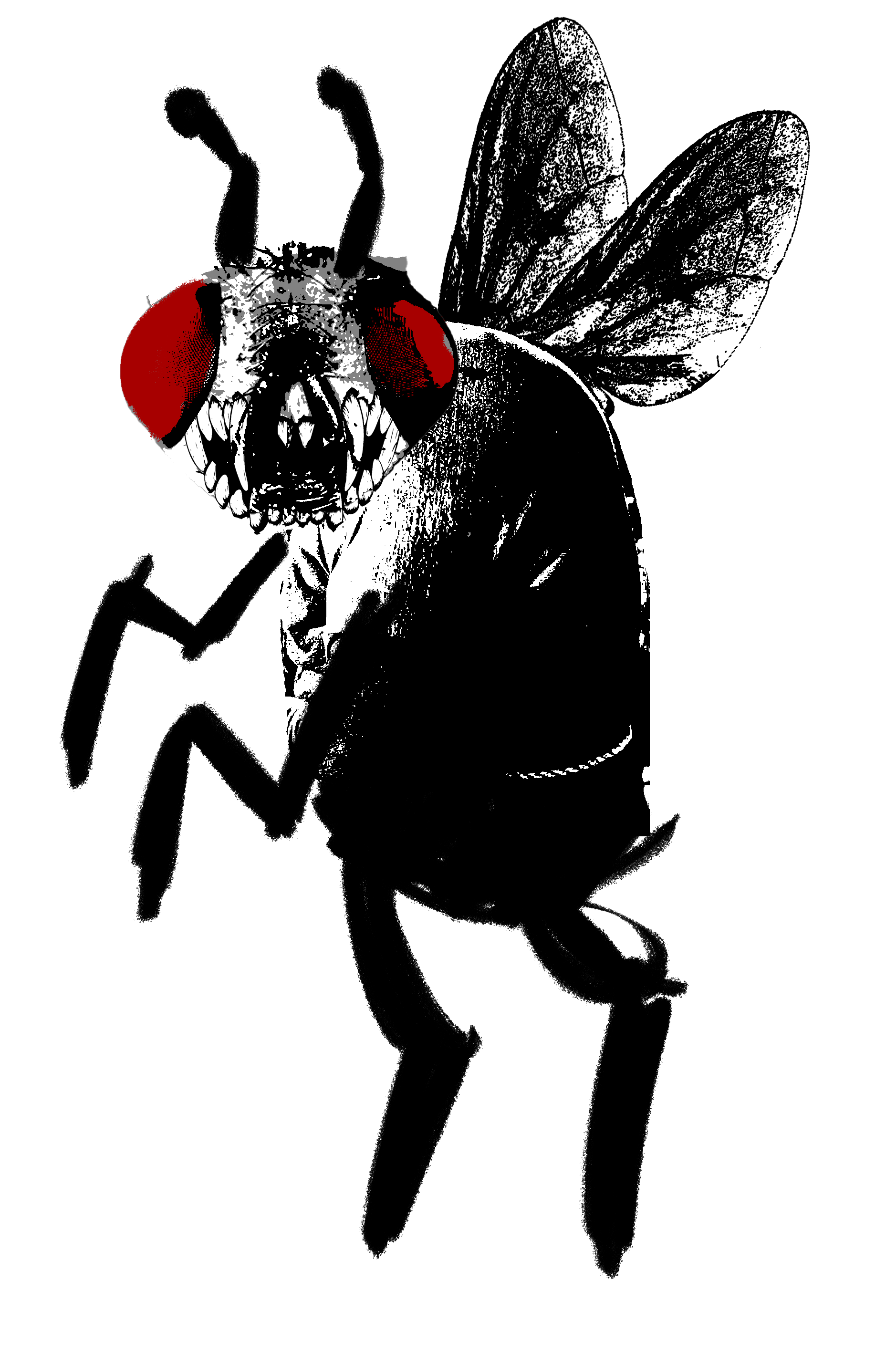 Unused fly enemy concept